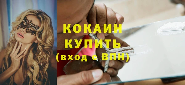 spice Гвардейск