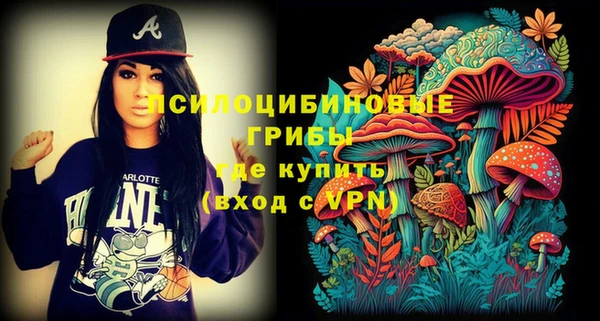 гашик Вяземский