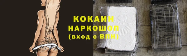 гашик Вяземский