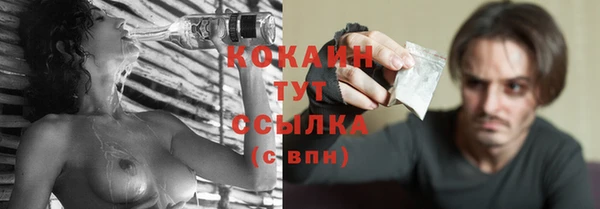spice Гвардейск