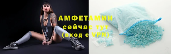 гашик Вяземский