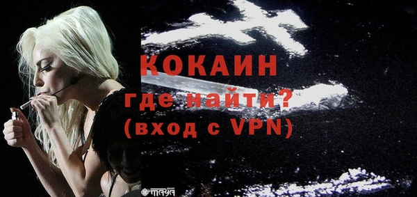 гашик Вяземский