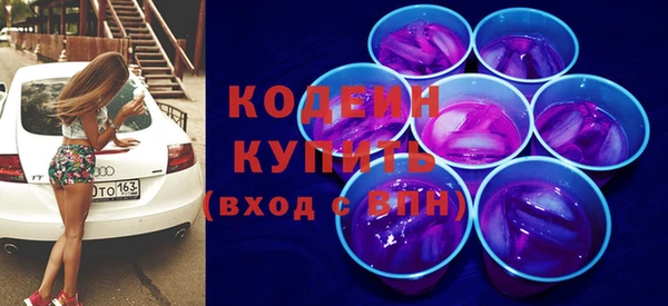 гашик Вяземский