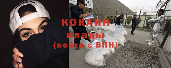 гашик Вяземский