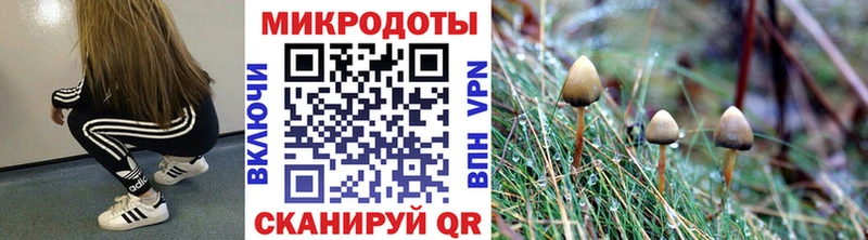 ОМГ ОМГ как зайти  Галич  Галлюциногенные грибы ЛСД 