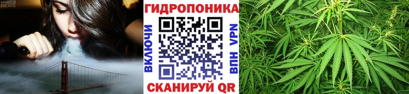 MEGA рабочий сайт  Галич  Бошки марихуана индика 